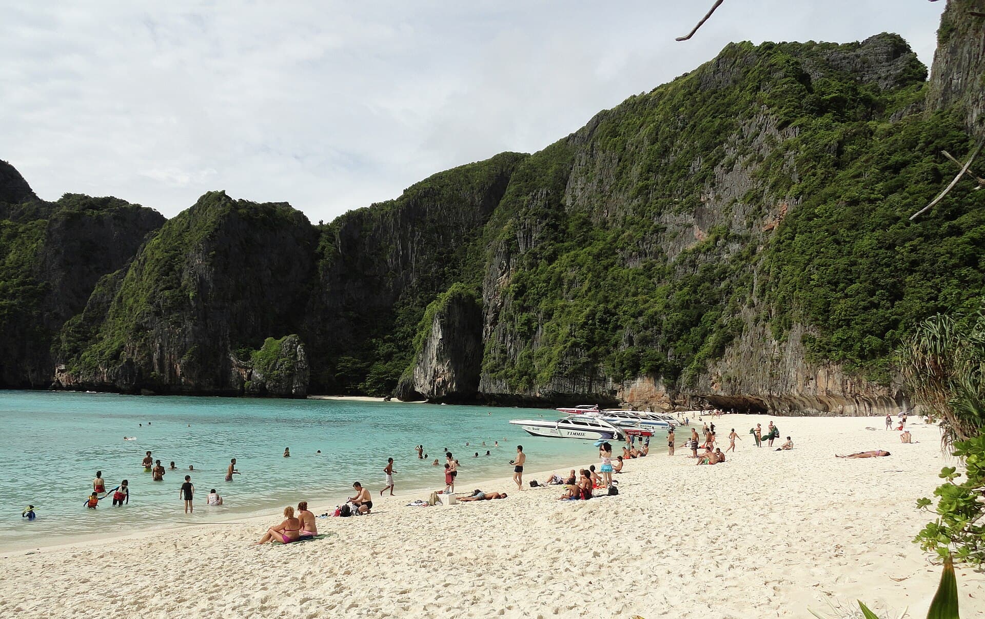 Longtail boats in Maya Bay, Phi Phi Islands, Thailand